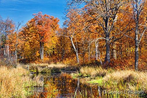 Autumn Scene_17935.jpg - Photographed near Westport, Ontario, Canada.